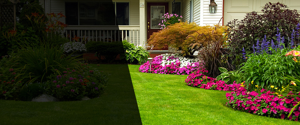 Waterloo Landscapers